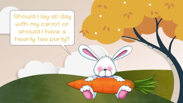 Sunny the Bunny