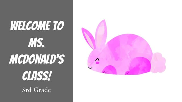 Ms. McDonald's 3rd Grade Class