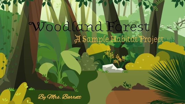 Mrs_barrett's Story