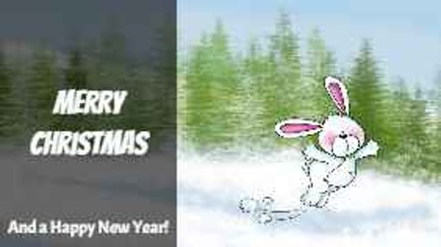 Merry Christmas