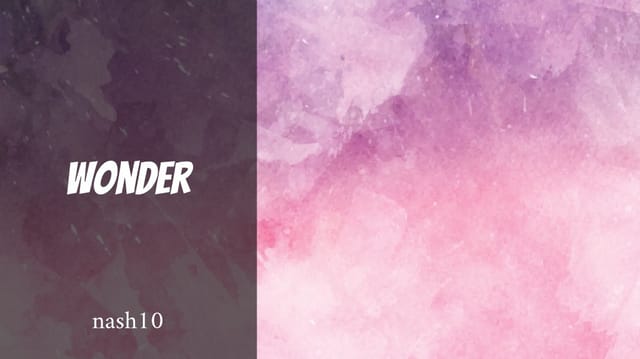 Wonder