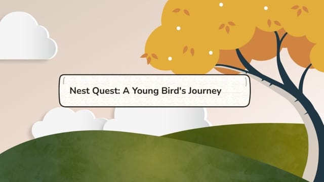 Nest Quest - Teacher Example