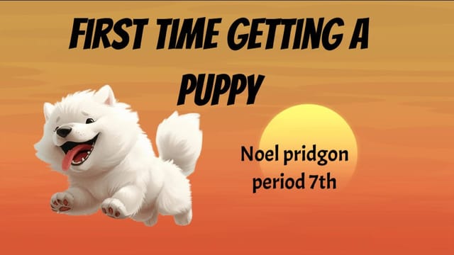 Noelp5's Project