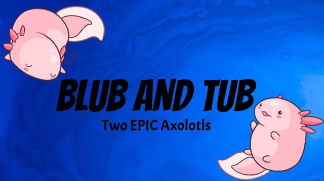 Blub And Tub