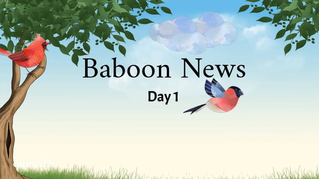 Baboon News day 1