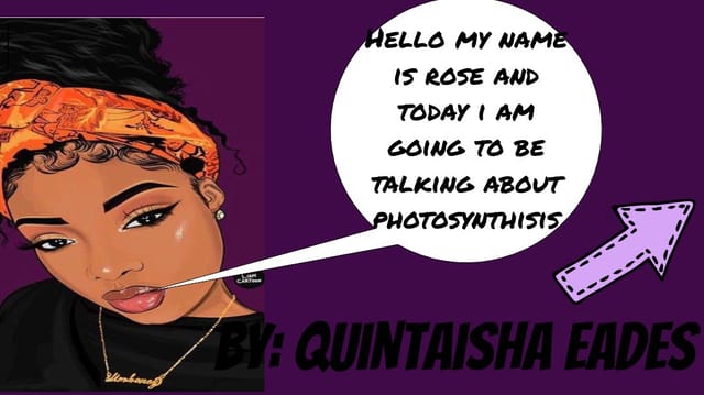 Quintaisha's Story