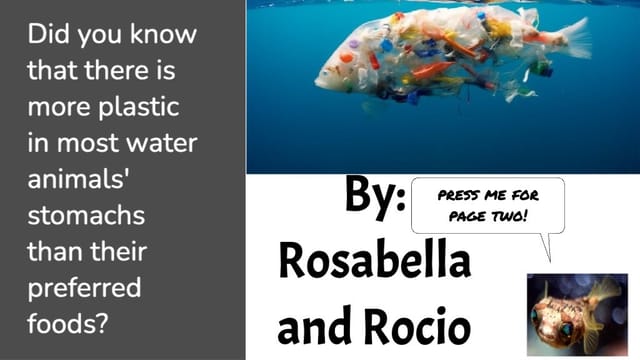 Rosabella and Rocio's Plastic pollution project