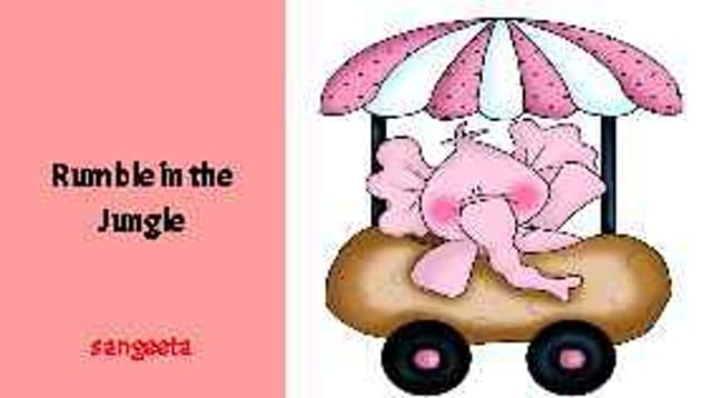 Sangeeta's Story