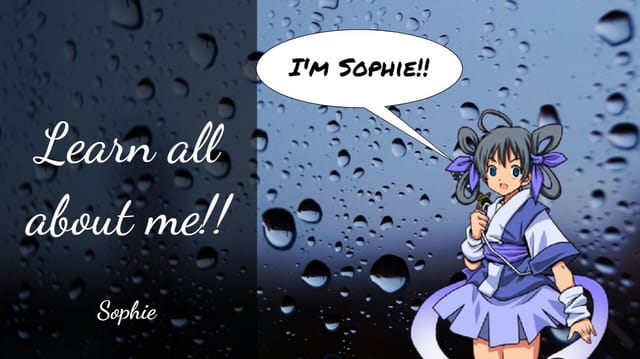 Sophie's Get to Know Me Book