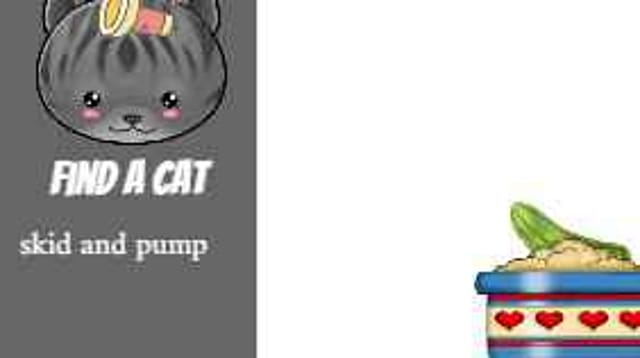 find a cat