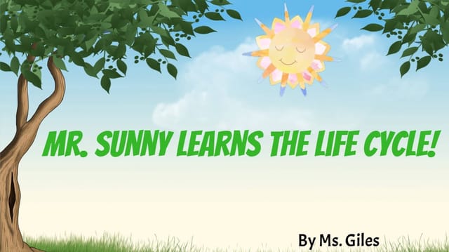 Life Cycle