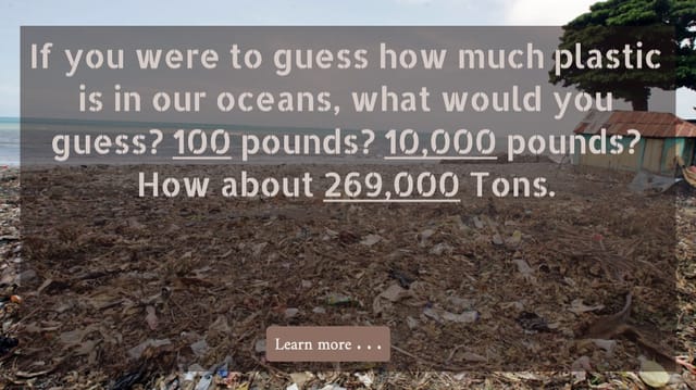 protecting our oceans