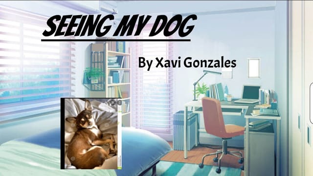 Seeing My Dog 