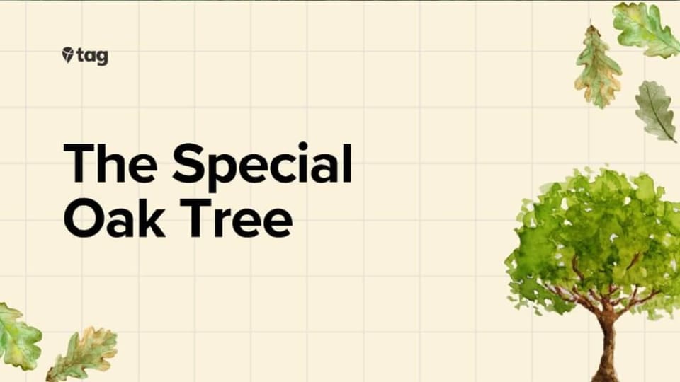 Special Oak Tree 🌳